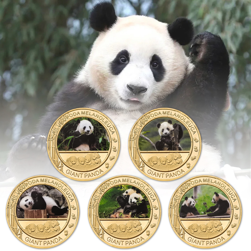 Pièce Commémorative Panda Chinois – Feuille D’or Ou Argent – 40 Mm De Diamètre – Porte-bonheur – Cadeau Collection - 2
