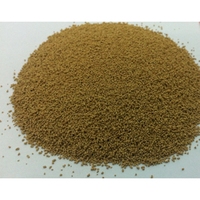 Usine de production d'enzymes détergente en Chine