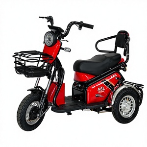 Pudín Modelo ------ Motocicleta de Tres Ruedas con Carga, <span class=keywords><strong>Precio</strong></span> de Fábrica Económico, Bicicleta <span class=keywords><strong>Eléctrica</strong></span> Familiar, Triciclo Eléctrico de Carga de Largo Alcance - Product Image 1