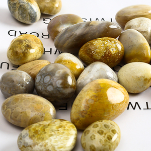 Bán Buôn Đánh Bóng Chữa Bệnh Sỏi San Hô Tự Nhiên Hóa Thạch Tumbled Stones Hóa Thạch Vỏ Sò Palm - Product Image 4