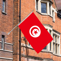 Vente en gros 3x5ft Tunisie drapeaux 68D/100D polyester Personnaliser toutes les nations expédition rapide Fournisseur fiable livraison rapide