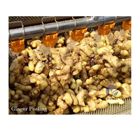 Industrie Cassave Knol Lotus Zaad Dunschiller Fruit En Groente Aardappel Wassen En Schilmachine