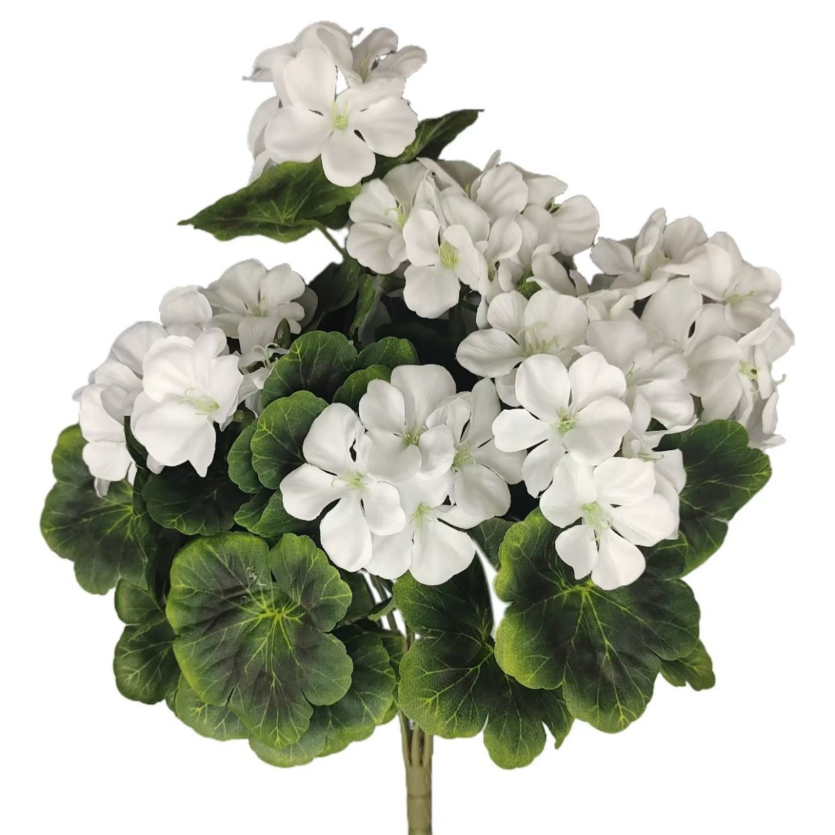 1 white
