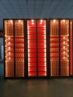 Armoire à vin à température constante en acier inoxydable personnalisée en usine pour l'affichage des boissons à base de vin d'alcool pour la cave à vin de villa