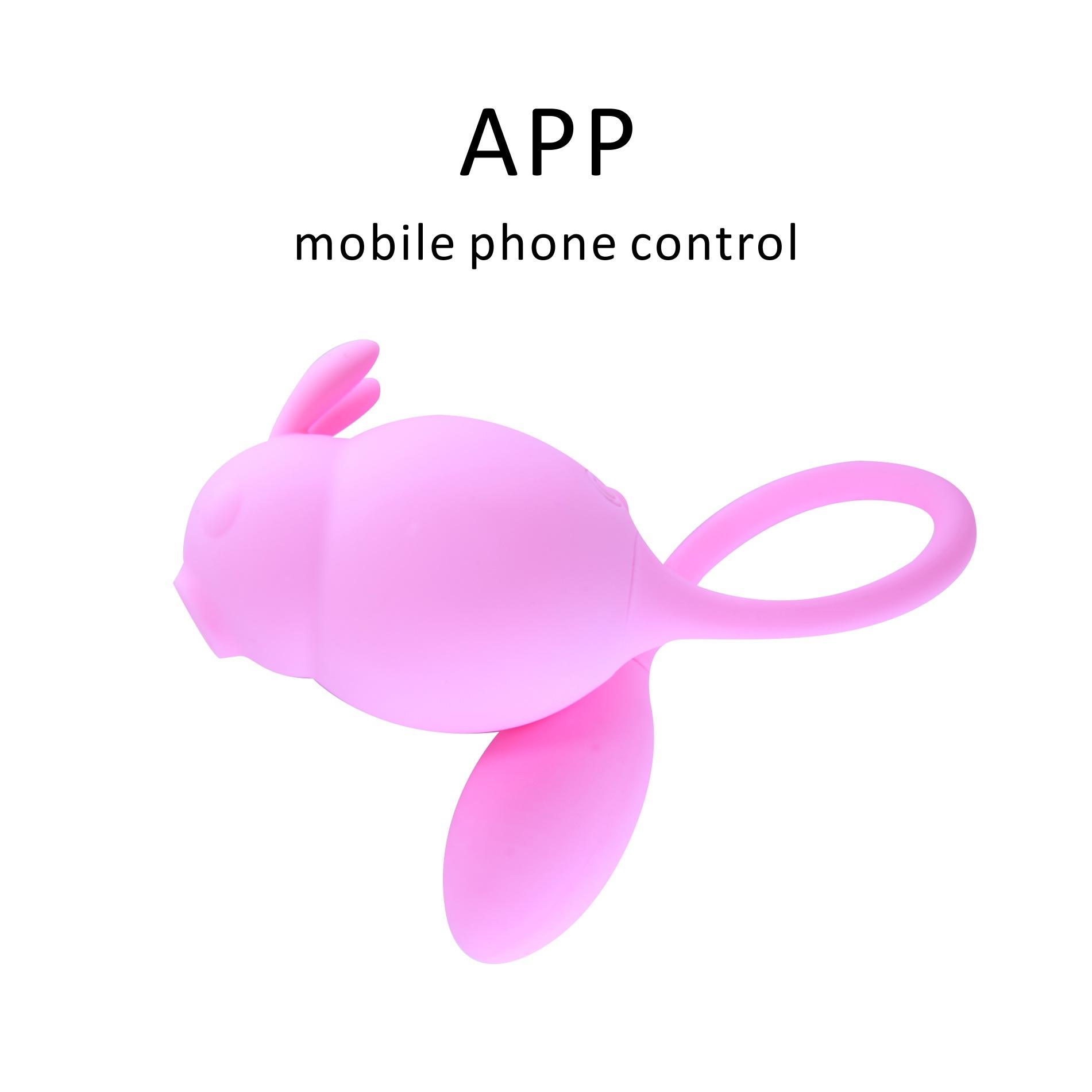 APP control