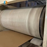 Correa de Alta Velocidad para Corrugadora Shenyang FULI con Kevlar para Máquinas de Doble Cara FOSBER/JS/XINGUANG/TCY, 2 kg, 1 Año de Garantía