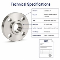 Bride forgée trempée en acier inoxydable ASTM A182 F304 304L, classe 150 300 600, selon ASME B16.47, avec raccord RF DN15 DN20 DN25 DN32