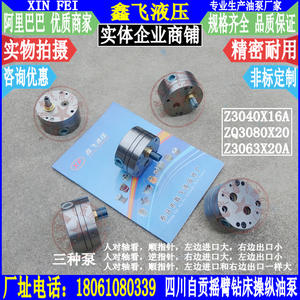 Pompe de commande de perceuse radiale d'usine de machines-outils de Zigong Z3040X16A ZQ3080X20 Pompe hydraulique à engrenages Pompe à huile de lubrification - Product Image 1