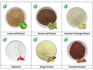 10% 20% سينوسيد أ مستخلص طبيعي من أوراق السنا، سينوسيد ب 8%-20% - Product Image 3