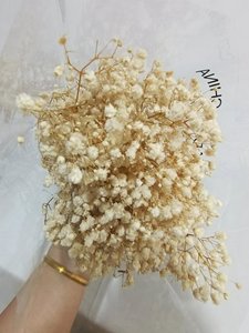 Directo de fábrica PreservedFreshFlower Babysbreath120g Venta al por mayor Gypsophila <span class=keywords><strong>Paniculata</strong></span> L - Product Image 4