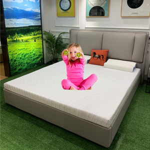 Wholesale Hot Sale Kids Mattress Tatami <strong>Futon</strong> Mattress Better <strong>Sleep</strong> High Quality Customized Washable Foam Mattress