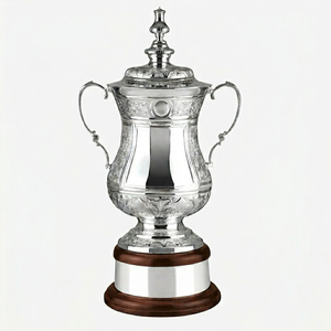 Stainless Steel Sports <b>Trophy</b> <b>Cup</b> Customized Achievement Award Display Durable Premium Quality - Product Image 1