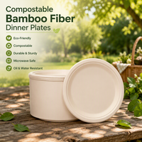 Assiettes jetables écologiques en fibre de bambou compostables, rondes, pour dîner, fête, camping, mariage, service de plats à emporter