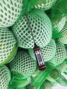 ส้มโอพันธุ์โอมีลออร์แกนิคจากเวียดนาม ยี่ห้อโกลเด้น แคลฟ ผลิตภัณฑ์สด ผ่านการรังสี ลินดา 0084989322607 - Product Image 6