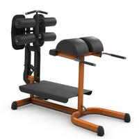 Vente en gros d'équipement de fitness Chaise GHD Équipement de fitness commercial Équipement de gymnastique Fessier Jambon Développeur Machines chargées à plaques