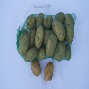 Bán cũng loại mới PP dệt túi lưới gia cố bao bì củi giá rẻ túi lưới - Product Image 1