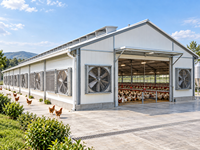 Poulailler préfabriqué en structure d'acier galvanisé avec panneaux de toiture isolés et système de ventilation