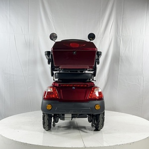 Electric <strong>Tricycle</strong> for Adults 3 Wheel Cargo Trike with Large Rear Basket Passenger Electric <strong>Bike</strong> for <strong>Seniors</strong> Daily Commuting - Product Image 4