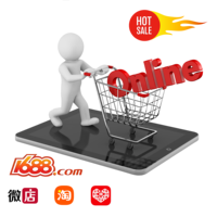 Expédition Aérienne Porte à Porte Service de Logistique Transitaire Stockage Gratuit Dropshipping Agent 1688