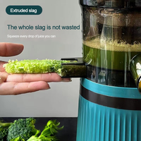 Stainless Steel Electric Slow Fresh Smoothie Fruit Citrus Orange Extractor Blender Slow Juicer Machine