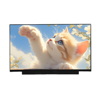 BOE EV133FHM-N40 ADS eDP1.4 13.3 İnç 1920*1080 FHD TFT LCD Modül 300cd 3H Mat Tıbbi Sağlık Ekranı