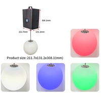 Boule cinétique LED de 25 cm à contrôle matriciel par points, boule cinétique LED à treuil