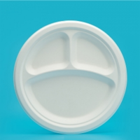 Assiettes à pizza bagasse incassables au design personnalisé, plateau ou assiette à compartiment jetable pour servir le barbecue