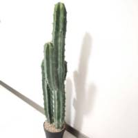 Cactus artificiel Bonsaï en forme de pilier, arbustes écologiques, durables, aspect naturel, utilisation intérieure/extérieure, décoration d'hôtel, 90 cm