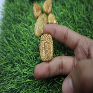 Cabujón de Coral Fósil de Piedra Preciosa Natural, Piedras Decorativas Únicas para Joyería, Manualidades y Decoración del Hogar, por Gramo - Product Image 4