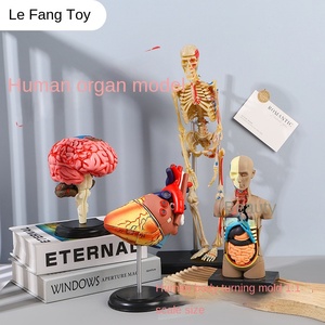 Modèle d'anatomie médicale 3D pour enfants, squelette humain assemblable et amovible, ensemble complet d'organes squelettiques du corps - Product Image 2
