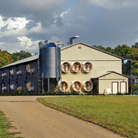 Design moderne, poulailler à structure en acier à bas prix, hangar à poulets préfabriqué, poulailler écologique