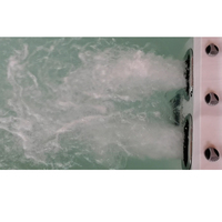 Grande piscine de nage en acrylique pour l'extérieur DSL |   Bain à remous autoportant chauffant avec système de contrôle Balboa