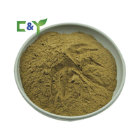 Haute norme ganoderma lucidum reishi poudre droite Ganoderma lucidum reishi poudre de champignon