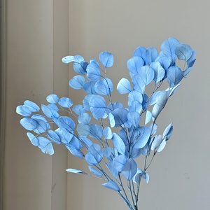 Lovebay - <span class=keywords><strong>Hojas</strong></span> de Manzano Preservadas, Follaje Artificial, Ramo DIY, <span class=keywords><strong>Hojas</strong></span> de Eucalipto Preservadas para Decoración del Hogar, Arreglos Florales - Product Image 2