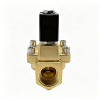 Vanne solénoïde antidéflagrante à commande pilote en laiton série PU225 3/8'' 1/2'' 3/4'' 1'' 1-1/4'' 1-1/2'' 2'' pour distributeurs de carburant
