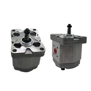 ปั๊มเกียร์ไฮดรอลิก PLP10.5D0-81E1-LBB/BA-N-EL Ltaly Sanitation Gear Pump รุ่น PLM/PLP ซีรีส์ PLP30 PLP20 PLP10 - Product Image 6