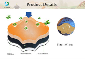 Lijitang OEM Nhãn Hiệu Riêng 100% Tự Nhiên Chines Thảo Dược Cao Hiệu Quả Thắt Lưng Đau Cột Sống Vá - Product Image 3