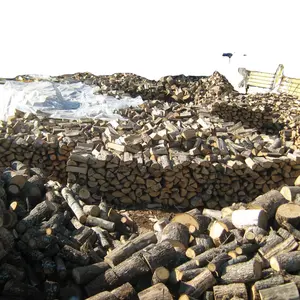 Conteneur de 40 'HC chargé en vrac de bois de chauffage séché en vrac MEILLEUR PRIX pour 27 tonnes