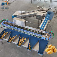 Kartonnen doos sorteermachine voor aardappelgewicht, voor groenteverwerkingsbedrijven, met toevoerelevator & PLC-sensor