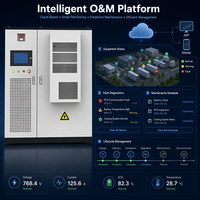Sistema di Energia Solare Rinnovabile Inedge Power OEM per Microgrid, 50kW 100kWh/215kWh BESS Container, Accumulo Energetico Industriale e Commerciale