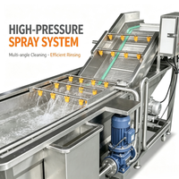 Industriële wasmachine voor fruit, groenten, champignons en aardappelen