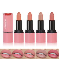 Rouge à lèvres crémeux hydratant, waterproof, vegan, cruelty-free, rouge sexy, de haute qualité, non-collant, effet minéral, maquillage nude, cosmétique à marque privée