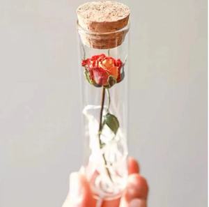 <span class=keywords><strong>15</strong></span> X100mm 20X100mm 25X200mm laboratuvar kullanımı ahşap mantar ile uzun borosilikat cam 3.3 cam <span class=keywords><strong>Test</strong></span> tüpü - Product Image 4