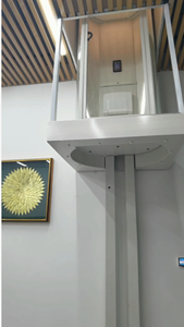 2 katlı ev asansör kapsül panoramik asansörler gezi sessiz konut asansörü cam asansör ev villa yükseltilmiş - Product Image 6