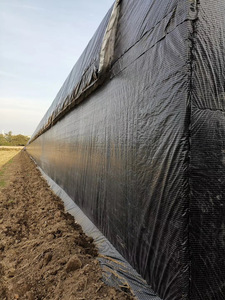 Telo in HDPE rinforzato da 150 g/m² per serra, 85% ombreggiante, bianco e nero <span class=keywords><strong>a</strong></span> quadri, per l'allevamento di funghi e l'agricoltura - Product Image 4