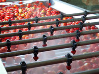 Grote capaciteit hot selling tomaat saus productielijn tomatensaus verwerking machines