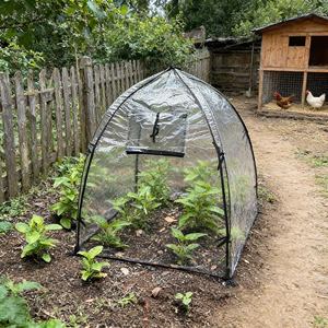 Vente chaude Tente de plantation <span class=keywords><strong>en</strong></span> PVC transparent Imperméable <span class=keywords><strong>Abri</strong></span> extérieur transparent pour la croissance des plantes Serre de <span class=keywords><strong>jardin</strong></span> - Product Image 1