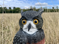 Xilei vente en gros répulsif pour oiseaux extérieur en plastique hibou faux hibou leurres pour effrayer les oiseaux