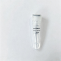 GHR (C-Fc) recombinant de souris EPT218 de haute qualité pour la recherche