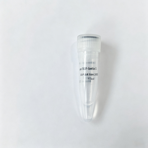 AREG Humano Recombinante EPT131 de Alta Calidad para Investigación - Product Image 4